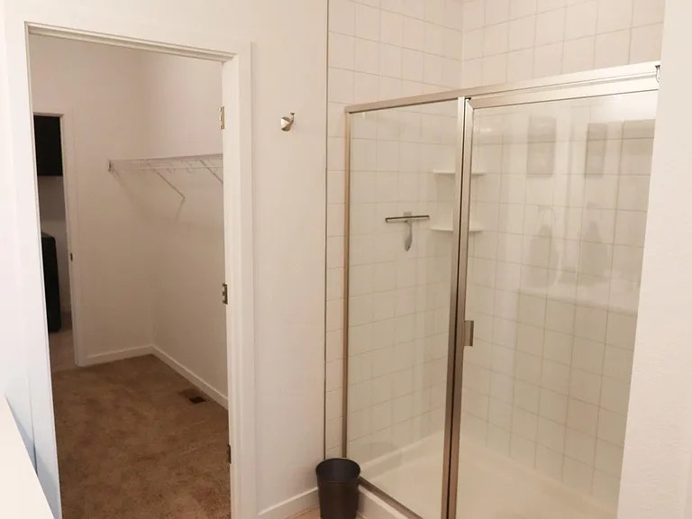 Master walk-in shower